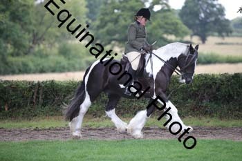 PAP-6097