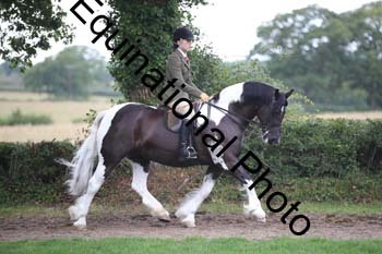 PAP-6106