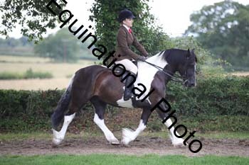PAP-6114