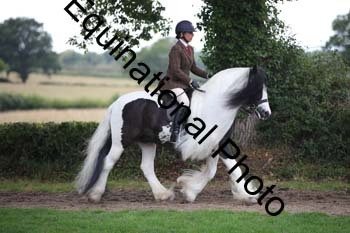 PAP-6128