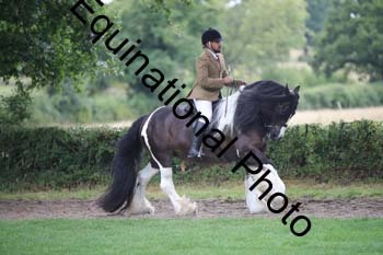 PAP-6152