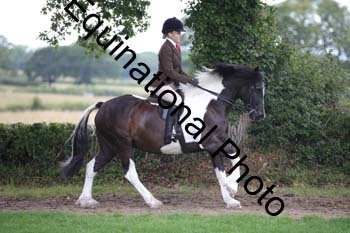 PAP-6183