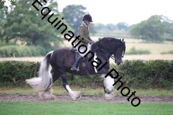 PAP-6184