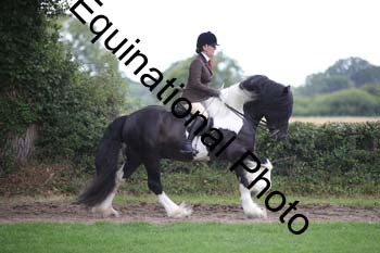 PAP-6191