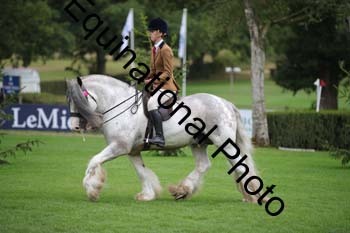 PAP-6222