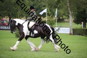 PAP-6237