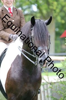PAP-6321