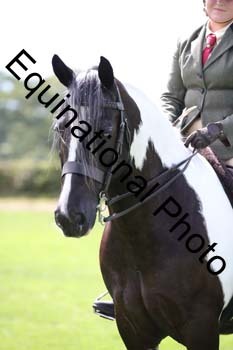 PAP-6490