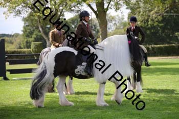 PAP-6508
