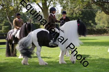 PAP-6509