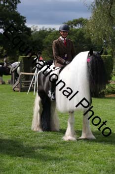 PAP-6605