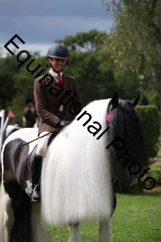 PAP-6607