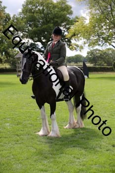 PAP-6609
