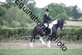 PAP-7279
