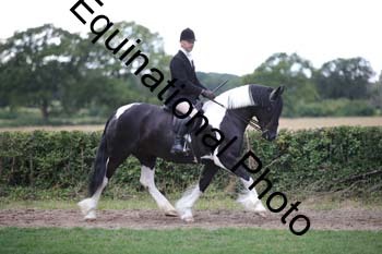 PAP-7282