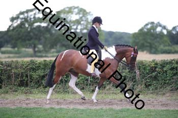 PAP-7296