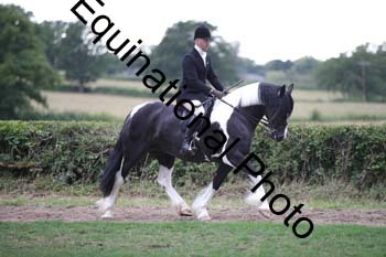 PAP-7308