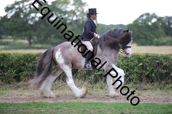 PAP-7309