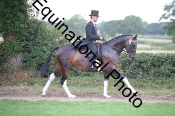 PAP-7315