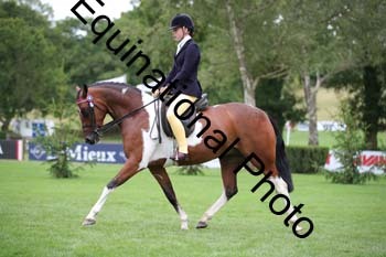 PAP-7329