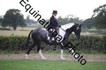 PAP-7448
