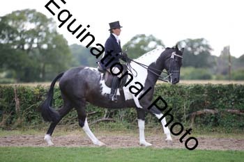 PAP-7449