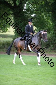 PAP-7452