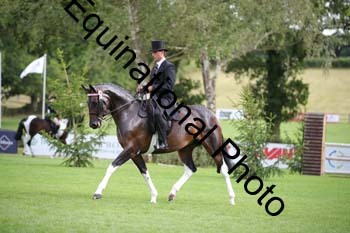 PAP-7460