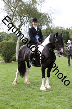 PAP-7529