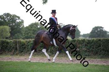 PAP-7533