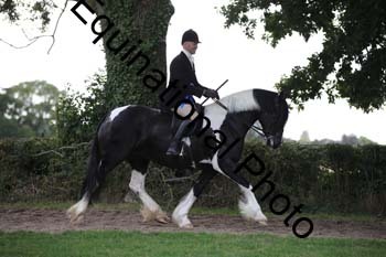 PAP-7539