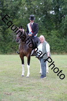 PAP-7593