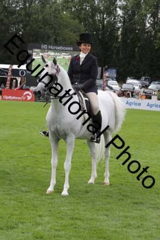 SWT-1600