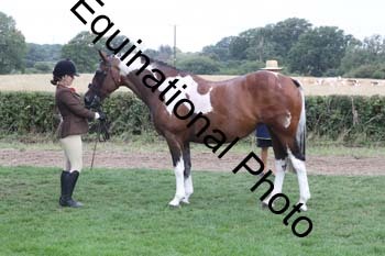 AAA-1394