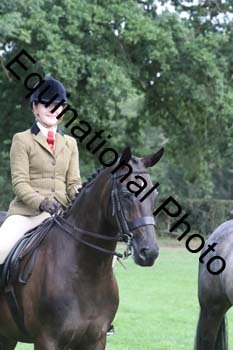 AAA-1443