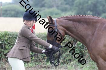 AAA-1905