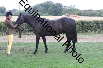 AAA-1916