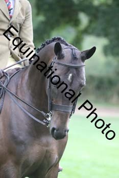 AAA-2045