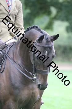 AAA-2046
