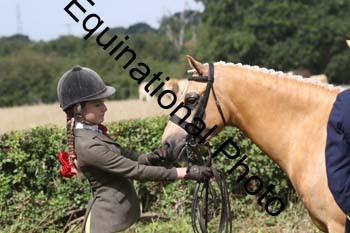 AAA-2552