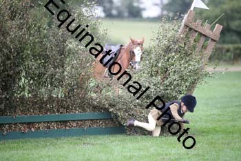 AAA-4338