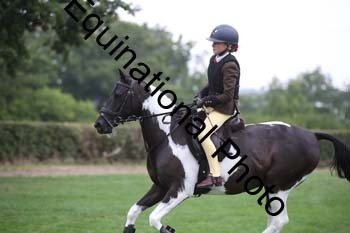 AAA-4377