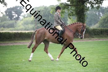 AAA-4796
